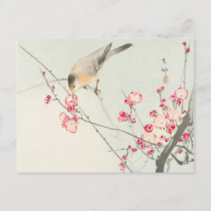 Songbird op Blossom Branch Painting door Ohara Kos Briefkaart
