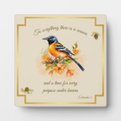 Songbird Oriole Plaque Ecclesiastes 3 Fotoplaat (Voorkant)