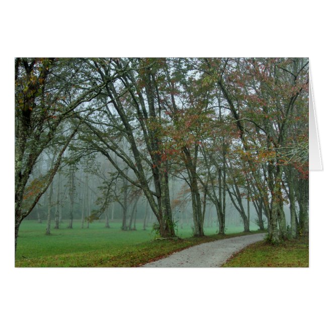 Songbird Trail II (Voorkant Horizontaal)