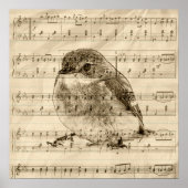 Songs of Birds Poster (Voorkant)