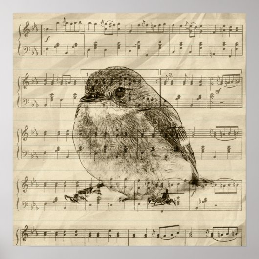 Songs of Birds Poster (Voorkant)