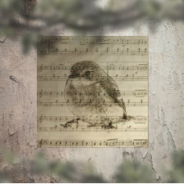 Songs of Birds Poster