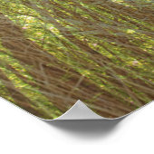 Songs of the Forest Poster (Hoek)