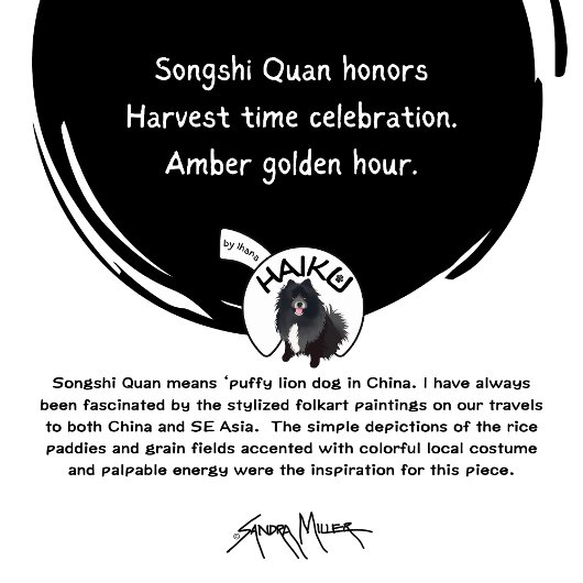 SONGSHI QUAN chow shirten Trui