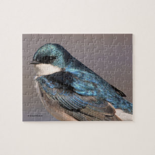 Songvogel in de buik legpuzzel