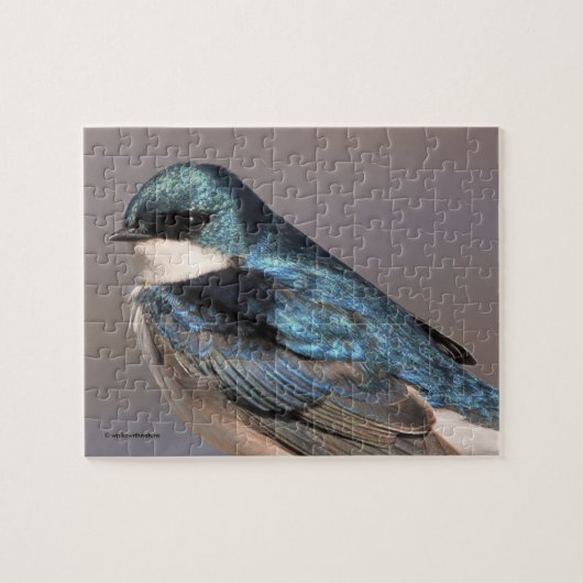 Songvogel in de buik legpuzzel (Horizontaal)