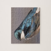 Songvogel in de buik legpuzzel (Verticaal)