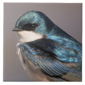 Songvogel in de buik tegeltje (Voorkant)