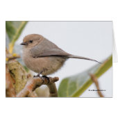 Songvogel op de perenboom (Voorkant Horizontaal)