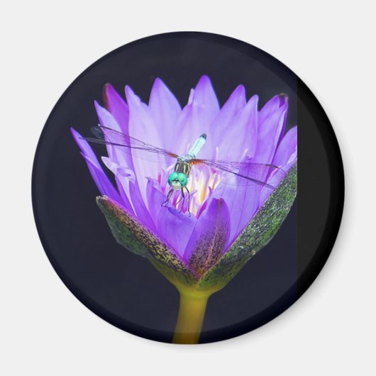 Sonia WIld Magneet (Voorkant)