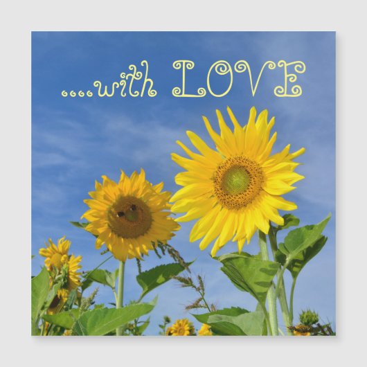 Sonnenblumen für Dich ... (Voorkant)