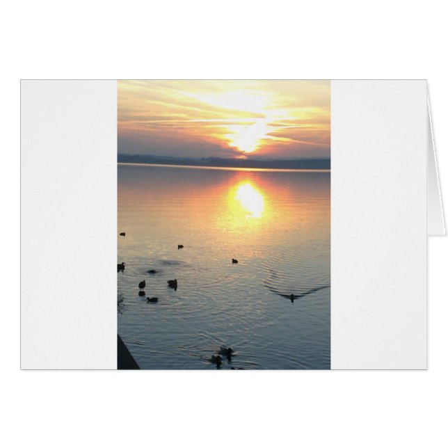 Sonnenuntergang am See mit Enten (Voorkant Horizontaal)