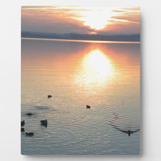 Sonnenuntergang am See mit Enten Fotoplaat (Voorkant)