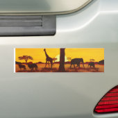 Sonnenuntergang in Afrika Bumpersticker (Op auto)