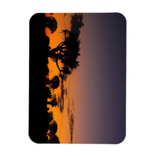 Sonnenuntergang in Namibië Magnet Magneet