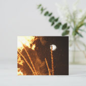 SONNENWENDFEUER IN STAUDEN BEI OBERNDORF BRIEFKAART (Staand voorkant)