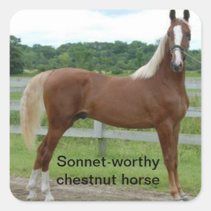 Sonnet-waardig kastanje paard (Shakespeare Henry V Vierkante Sticker