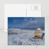 Sonny's Snow-capped Hill Briefkaart (Voorkant / Achterkant)