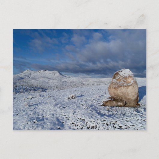 Sonny's Snow-capped Hill Briefkaart (Voorkant)