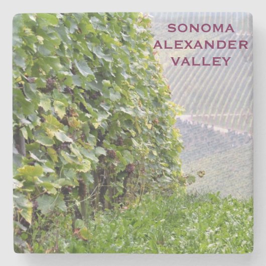 Sonoma Alexander Valley Marble Stone Onderzetter (Voorkant)
