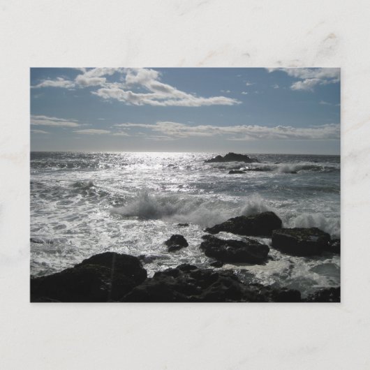 Sonoma Coast, Bodega, Ca Blank Briefkaart (Voorkant)