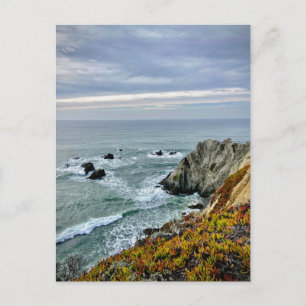 Sonoma Coast State Park, Californië Briefkaart