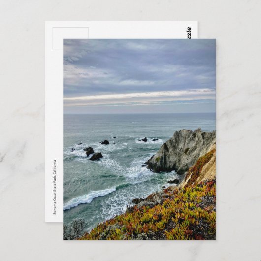 Sonoma Coast State Park, Californië Briefkaart (Voorkant / Achterkant)