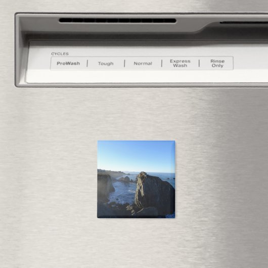 Sonoma Coast State Park Magnet (Insitu (Vaatwasser))