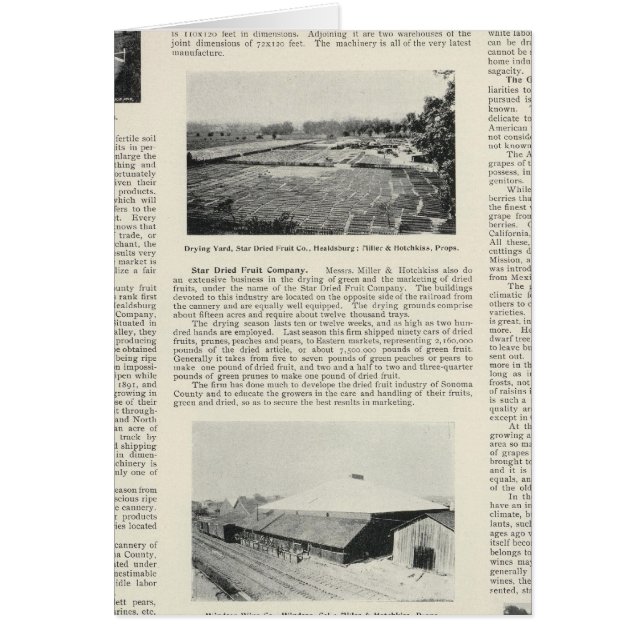 Sonoma County (Voorkant)