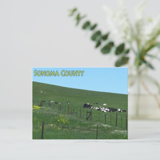 Sonoma County briefkaart (Staand voorkant)