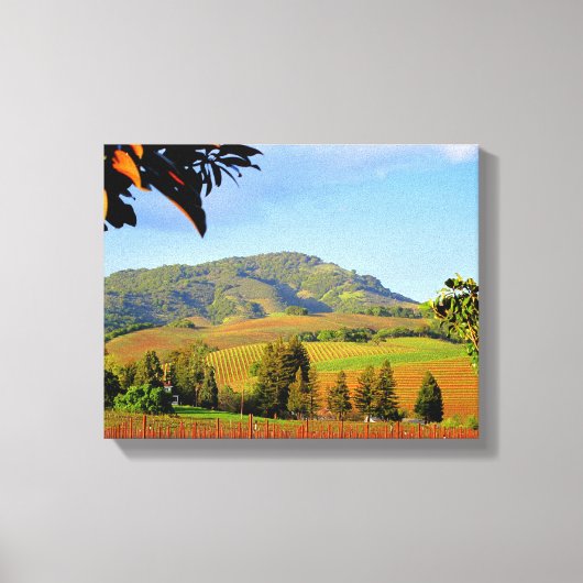Sonoma County CA Wijngaarden, Canvas Afdruk (Voorkant)