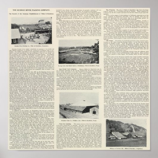 Sonoma County Poster (Voorkant)