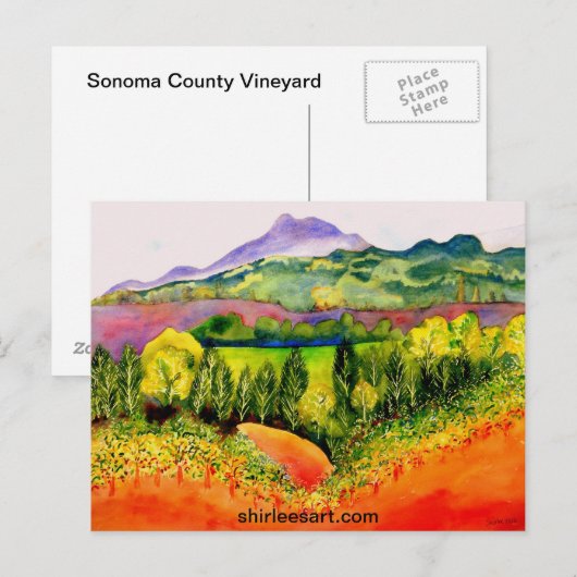 Sonoma County Vineyard Briefkaart (Voorkant / Achterkant)
