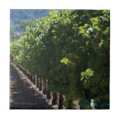 Sonoma County Vineyard - Ceramic Tile Tegeltje (Voorkant)