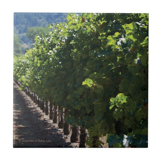 Sonoma County Vineyard - Ceramic Tile Tegeltje (Voorkant)