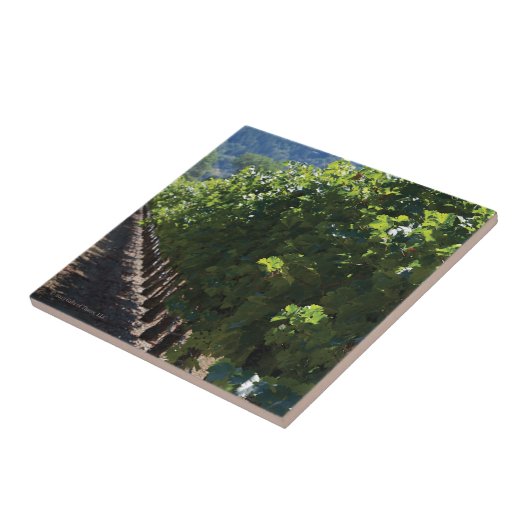 Sonoma County Vineyard - Ceramic Tile Tegeltje (Zijkant)