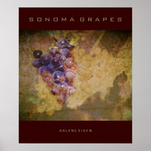 Sonoma Grapes on Vine Poster (Voorkant)