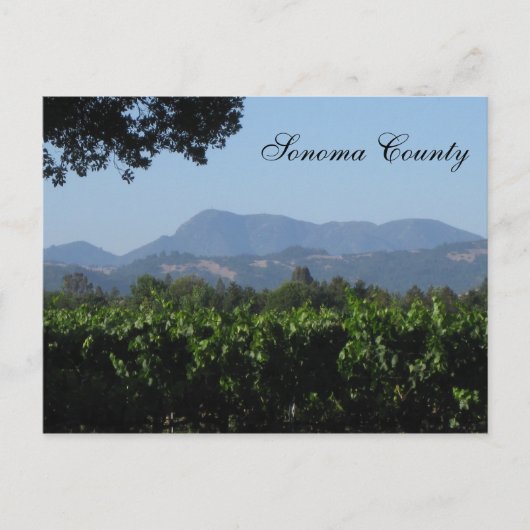 Sonoma Landscape! Briefkaart (Voorkant)