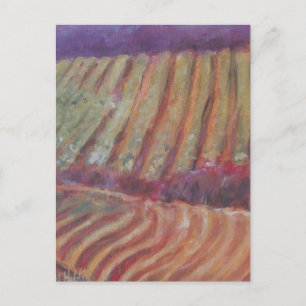 Sonoma Vineyards California vine wine Briefkaart