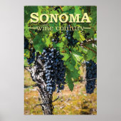 Sonoma Wine Land Poster (Voorkant)