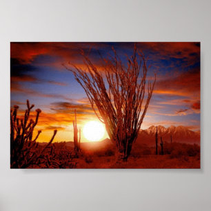 Sonora Desert, Arizona Poster