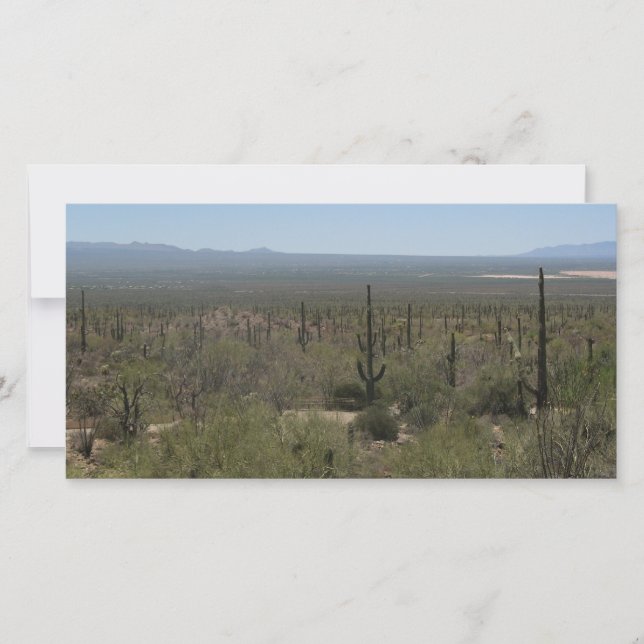 Sonora Desert Museum (Voorkant)