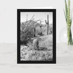 Sonoran Cacti Desert Garden Foto Wenskaarten Kaart