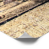 Sonoran Desert 03 poster (Hoek)