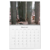 Sonoran Desert Agenda 2008 Kalender (Mar 2027)