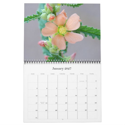 Sonoran Desert Agenda 2008 Kalender (Jan 2027)