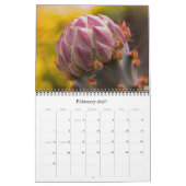 Sonoran Desert Agenda 2008 Kalender (Feb 2027)
