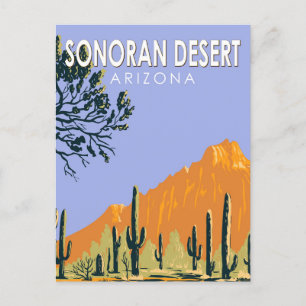 Sonoran Desert Arizona  Art Briefkaart