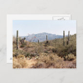 Sonoran Desert Arizona Briefkaart (Voorkant / Achterkant)