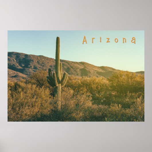 Sonoran Desert Arizona Poster (Voorkant)